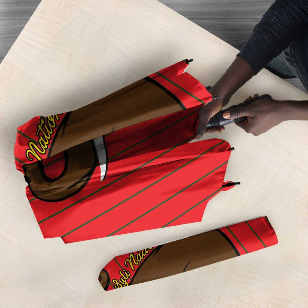 Guinea Football Umbrella Allez Syli National