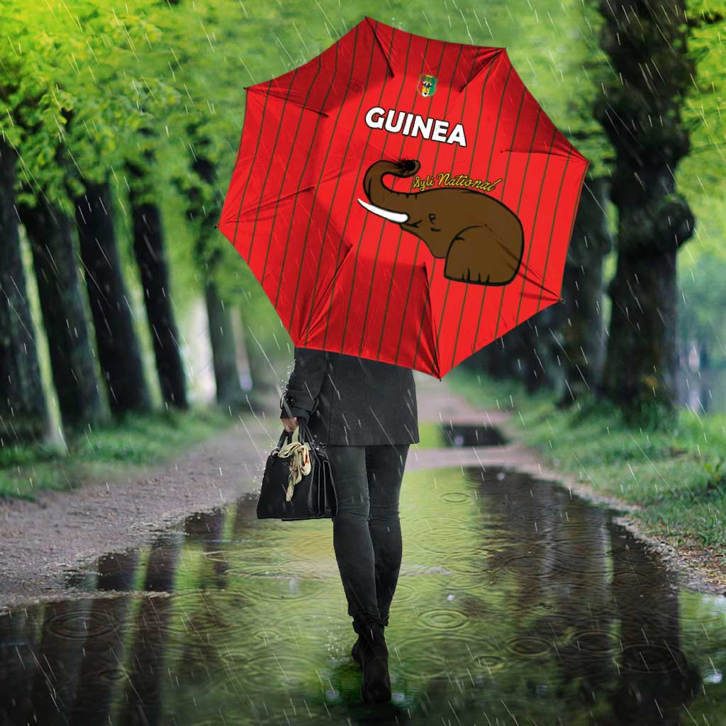 Guinea Football Umbrella Allez Syli National