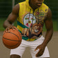 Happy Togo Independence Day Sleeveless Zip Hoodie Lion With Coat Of Arms - Kente Pattern - African Pride