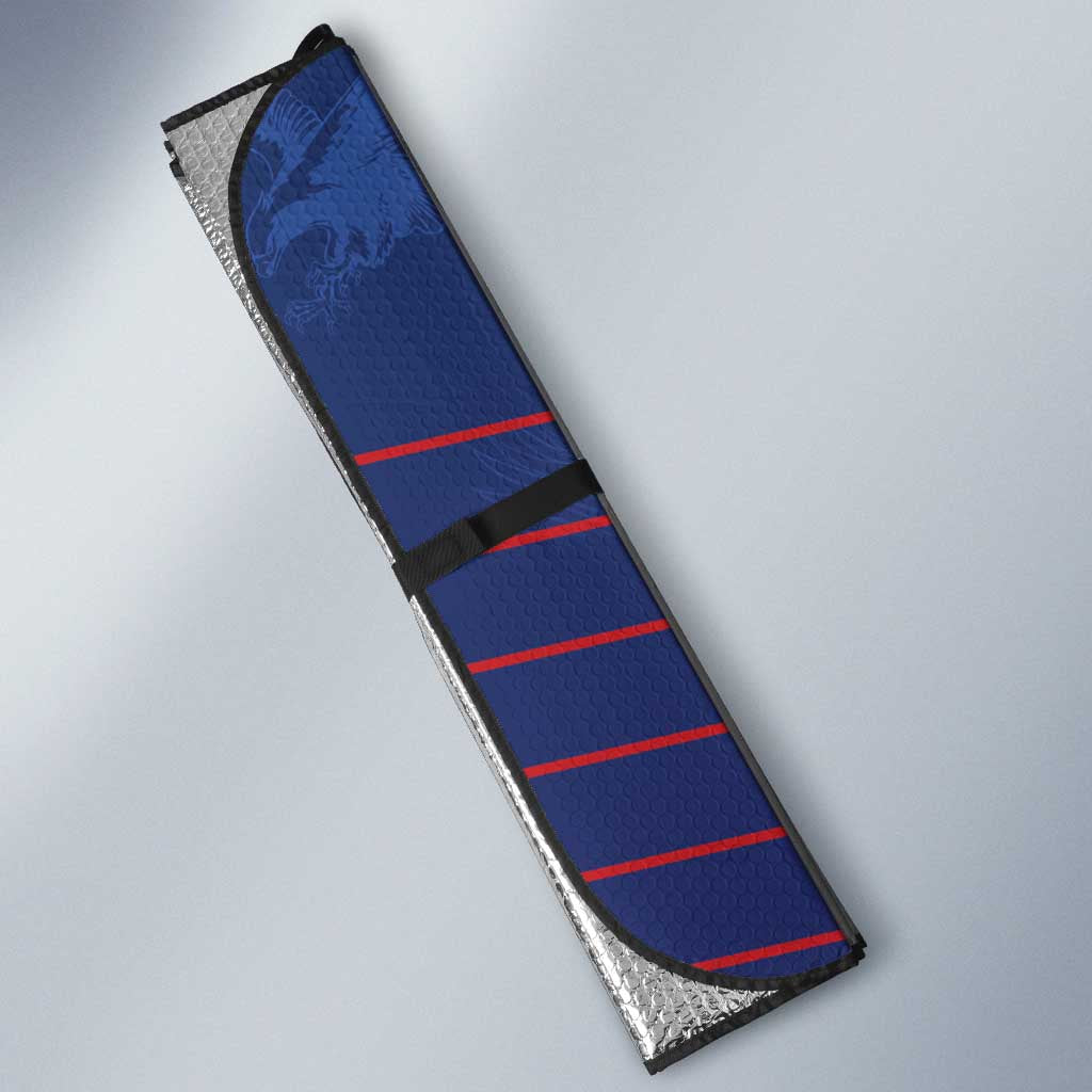 Namibia Cricket Auto Sun Shade Go Eagles Go