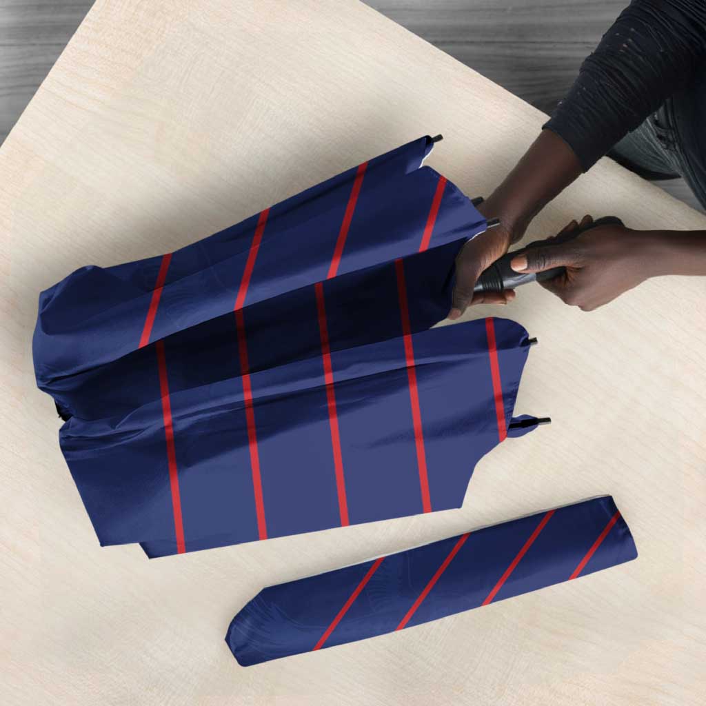 Namibia Cricket Umbrella Go Eagles Go