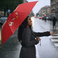Tunisia Football Umbrella Eagles of Carthage Rise - African Pride