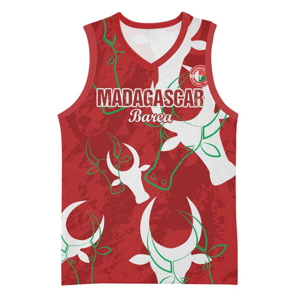 Custom Madagascar Football Basketball Jersey Allez Barea LT15