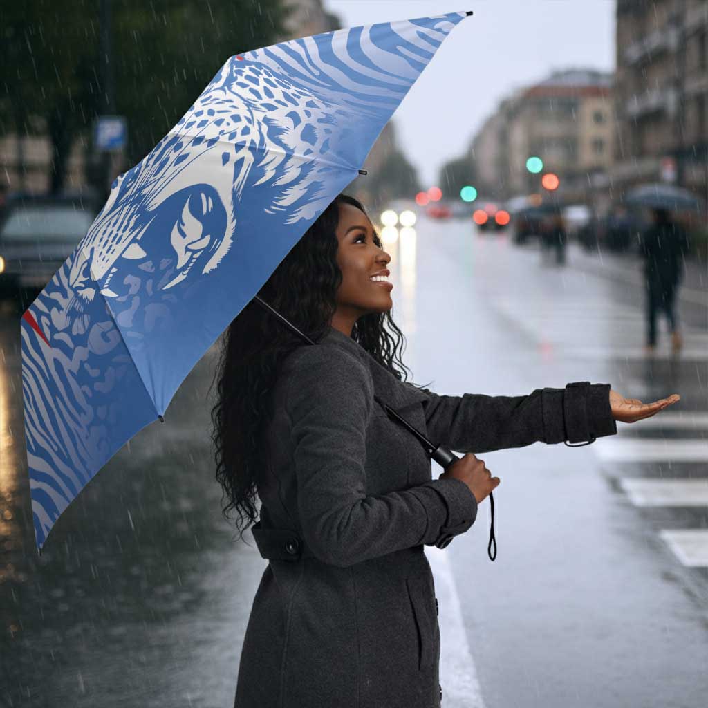 Custom DR Congo Football 2026 Umbrella Leopard Power Fan Style