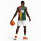 Custom Senegal Champions Football Basketball Jersey Lions of Teranga Rise Again