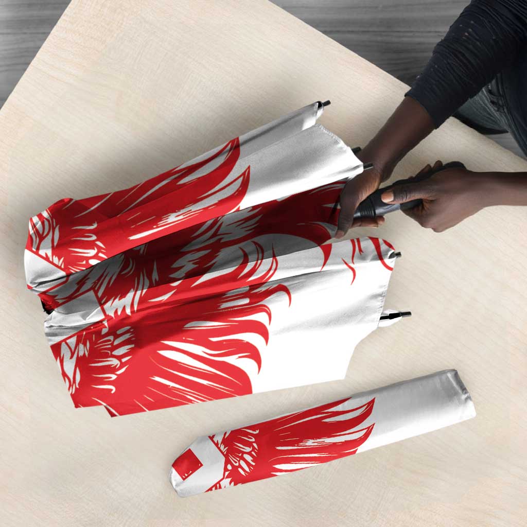 Custom Tunisia Football Umbrella Eagles of Carthage Spirit - African Pride