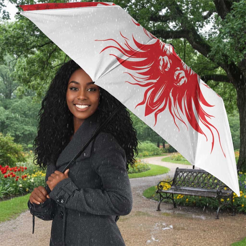 Custom Tunisia Football Umbrella Eagles of Carthage Spirit - African Pride