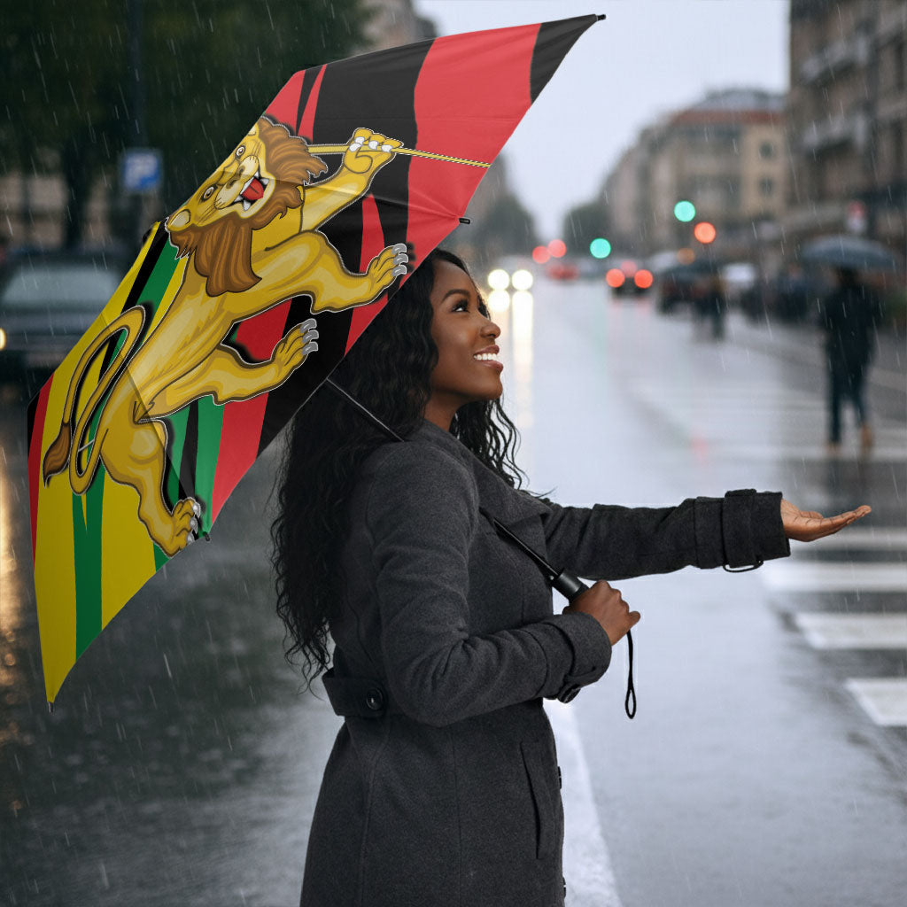 Ethiopia National Day 1991 Umbrella Habesha Lion Of Judah