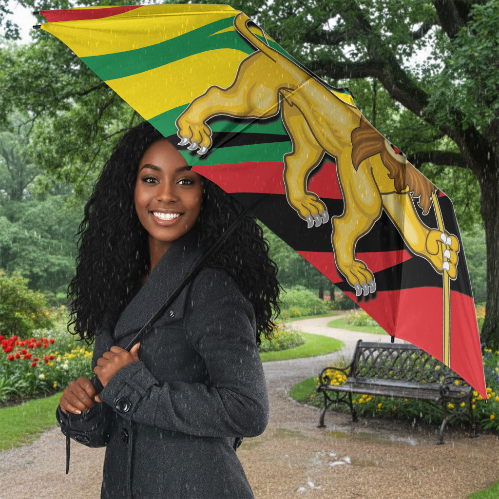 Ethiopia National Day 1991 Umbrella Habesha Lion Of Judah