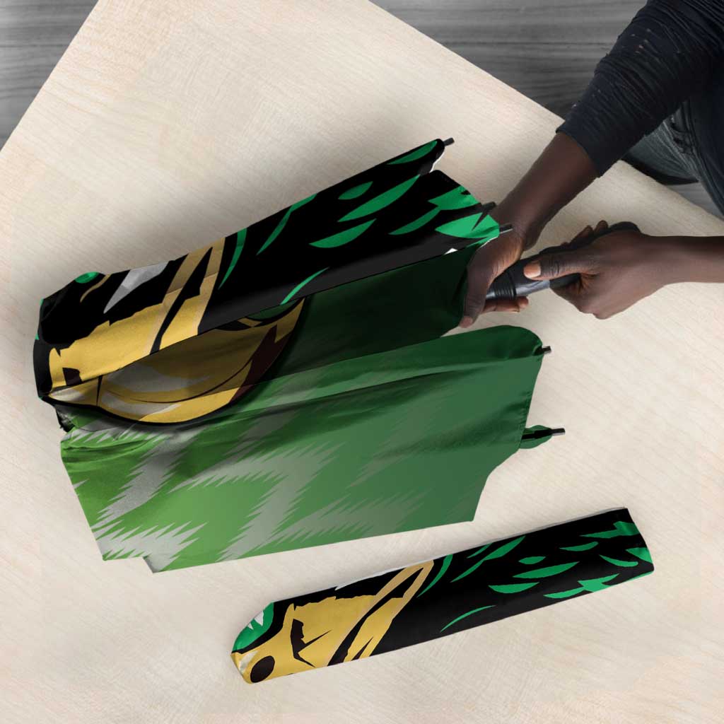 Nigeria Football Umbrella The Super Eagles Rise