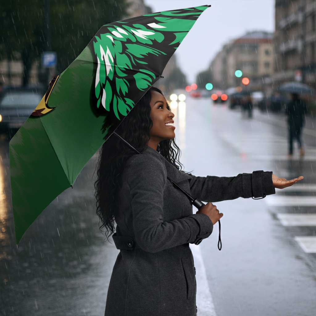 Nigeria Football Umbrella The Super Eagles Rise