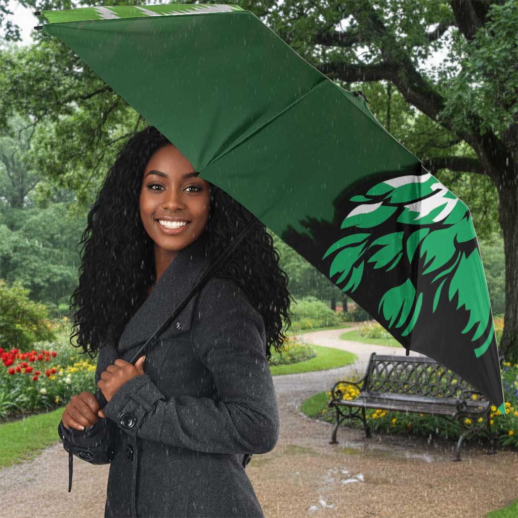 Nigeria Football Umbrella The Super Eagles Rise