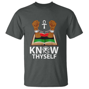 African American History T Shirt Know Thyself Break The Chains