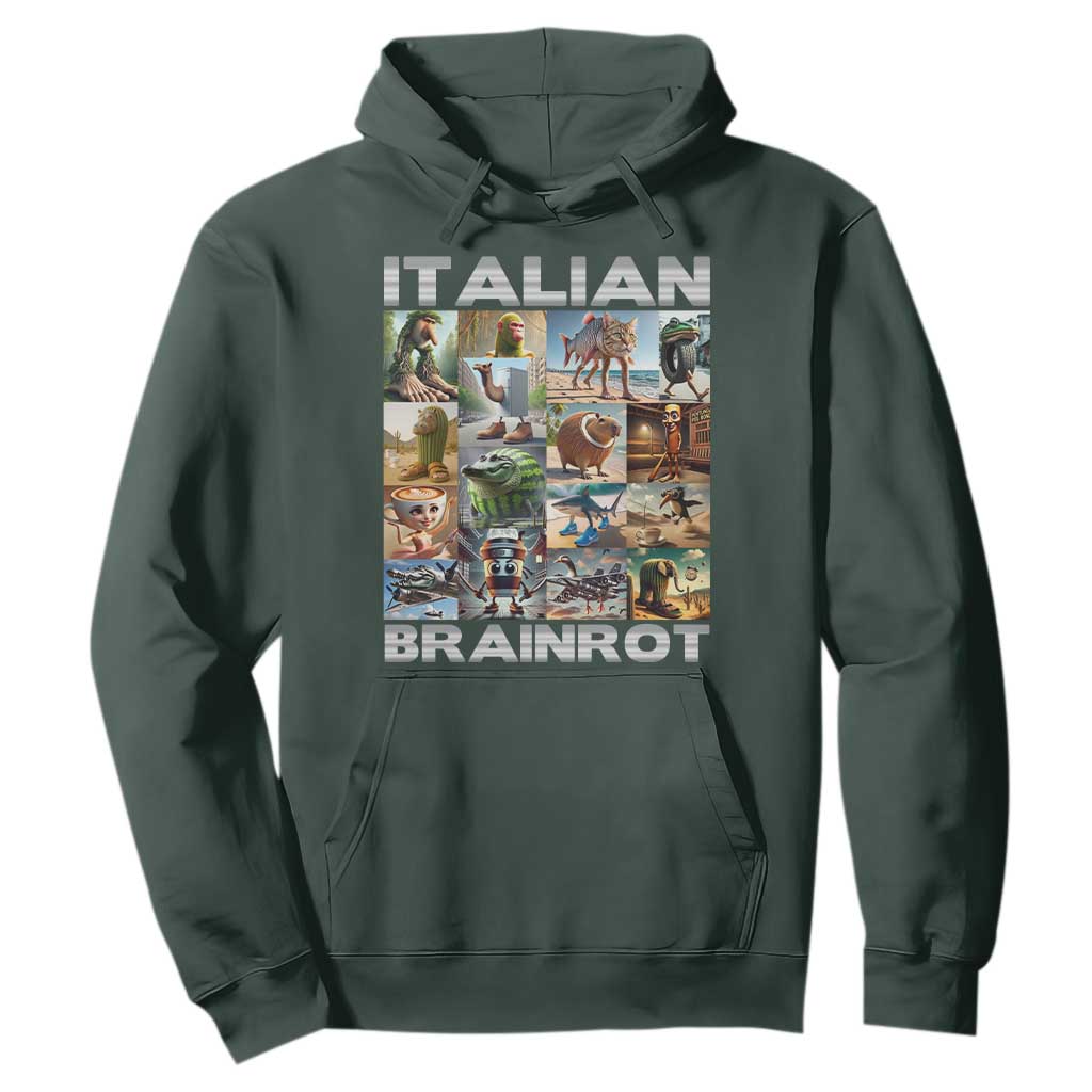 Funny Italian Brainrot Meme Art Hoodie Surreal Humor Pop Culture Collage