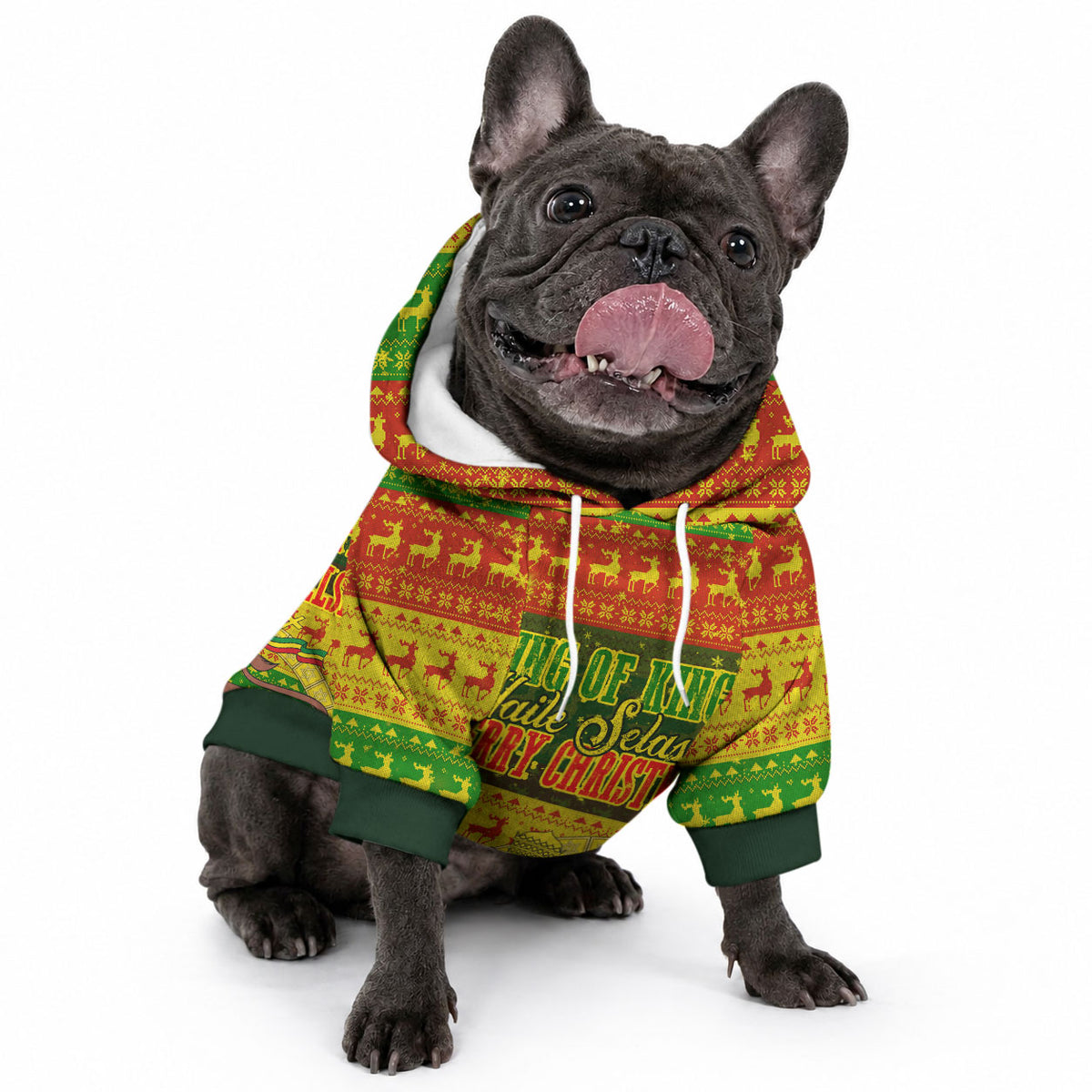 Ethiopia Haile Selassie Christmas Pet Hoodie King Of Kings Lion Of Judah Ugly Pattern Holiday