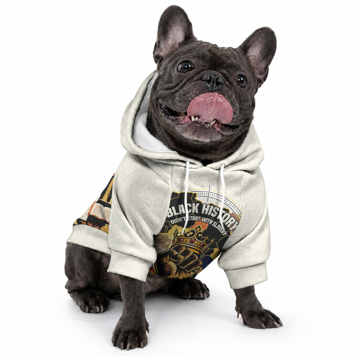 Black History Didn't Start With Slavery Pet Hoodie African Heritage Ancient Egypt Civilizations