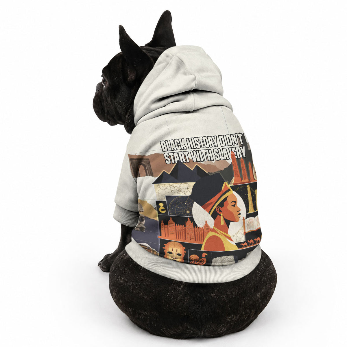 Black History Didn't Start With Slavery Pet Hoodie African Heritage Ancient Egypt Civilizations