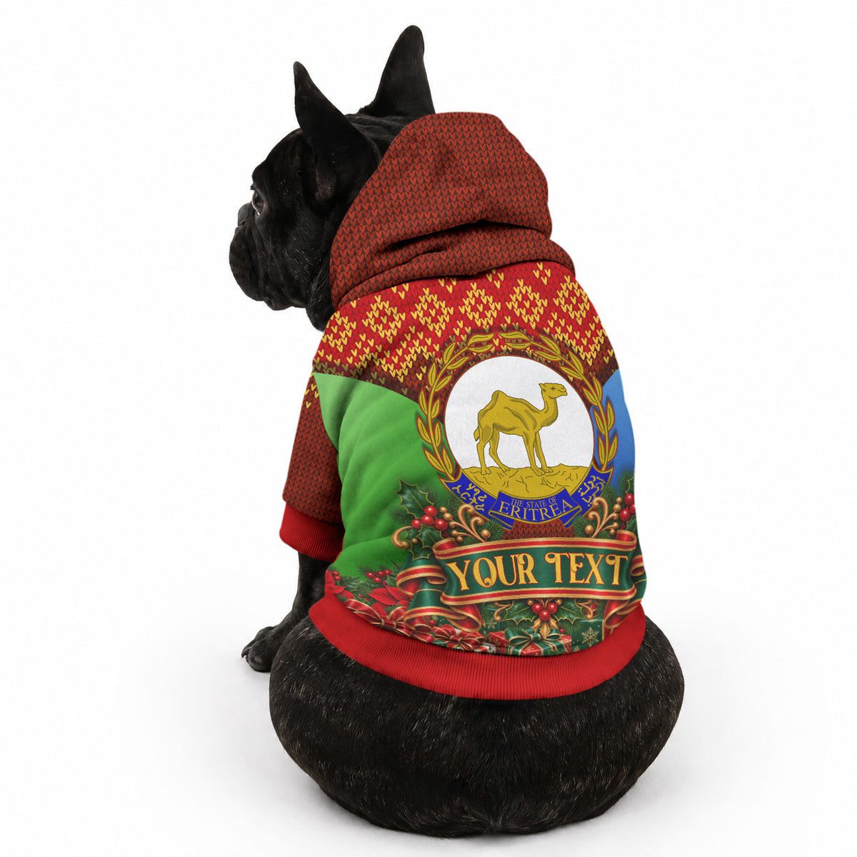 Personalized Eritrea Jesus Christmas Pet Hoodie Camel Emblem Ugly Pattern Festive Holiday