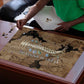 Imhotep Eye of Horus Puzzle Papyrus Scrolls Ancient Egyptian Medicine