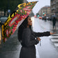 South Africa Christmas Umbrella African Culture Protea Flower Safari Sunset