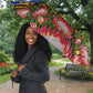 South Africa Christmas Umbrella African Culture Protea Flower Safari Sunset