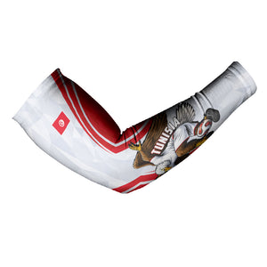 Personalized Tunisia Soccer Arm Sleeves Tunisia Flag Eagle Football Mascot