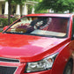 Angela Davis Black History Rights Activism Auto Sun Shade Abstract Geometric Pop Art Retro Civil Rights