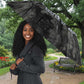 Nut Umbrella Egyptian Keeper of Souls Celestial Stairway Ascension Path Cosmic Goddess of the Night Sky