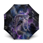Nut Egyptian Umbrella She Who Bore the Gods Galactic Vessel Cosmic Goddess Star Map