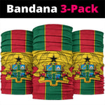 African Ghana Neck Gaiter Flag Coat of Arms Simple Design TS04
