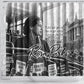 Rosa Parks Civil Rights Shower Curtain Vintage Bus American Flag And Red Roses Tribute