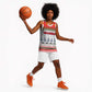 Namibia Christmas Basketball Jersey Coat of Arm National Flag Motif - African Pride