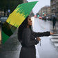 Personalized Senegal Football Lion Umbrella Fierce Roaring Lion Soccer Art With Senegal Flag
