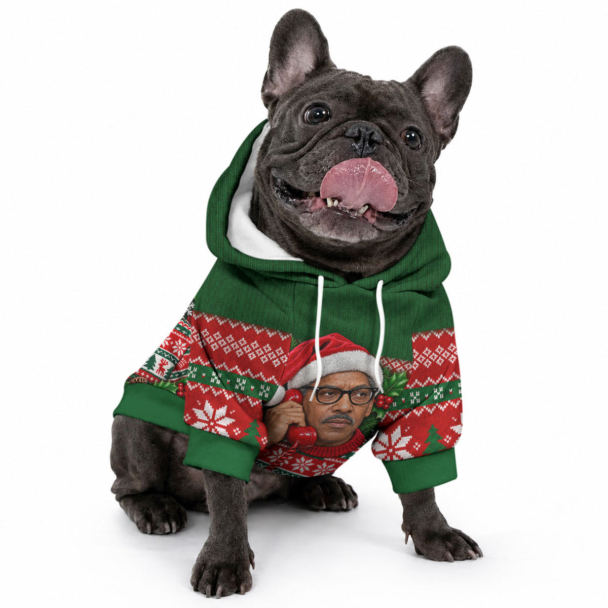 Bayard Rustin Christmas Pet Hoodie Ugly Christmas Pattern Retro Fair Isle