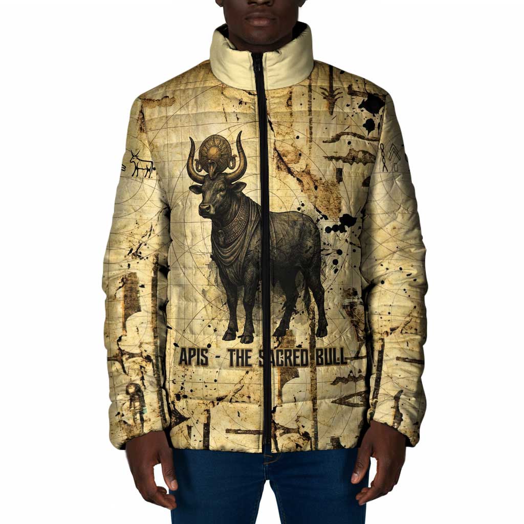 Apis Padded Jacket Ancient Egyptian Papyrus Map, Egyptian Crown Bull Illustration - African Pride