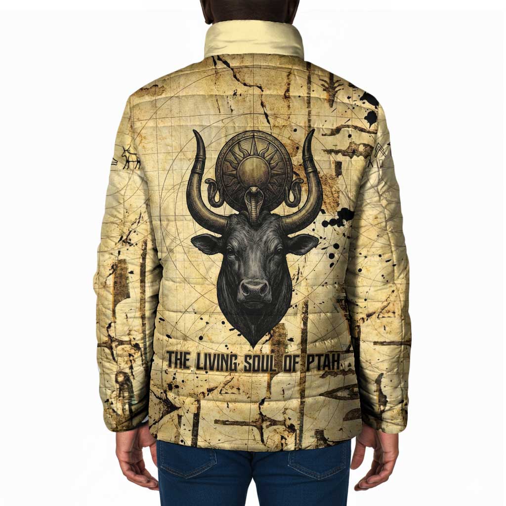 Apis Padded Jacket Ancient Egyptian Papyrus Map, Egyptian Crown Bull Illustration - African Pride