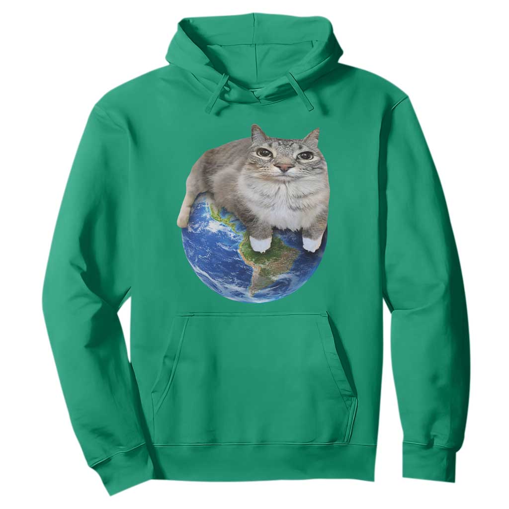 Earth Cat Silly Cat Meme Hoodie