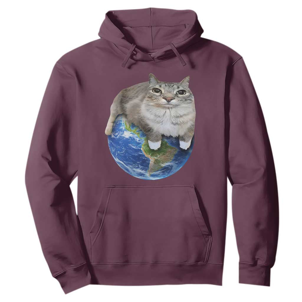 Earth Cat Silly Cat Meme Hoodie