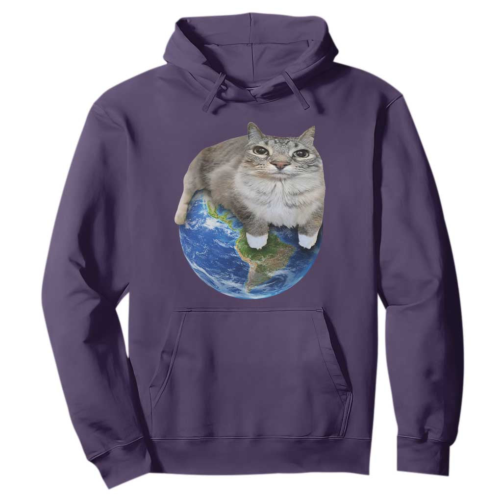 Earth Cat Silly Cat Meme Hoodie