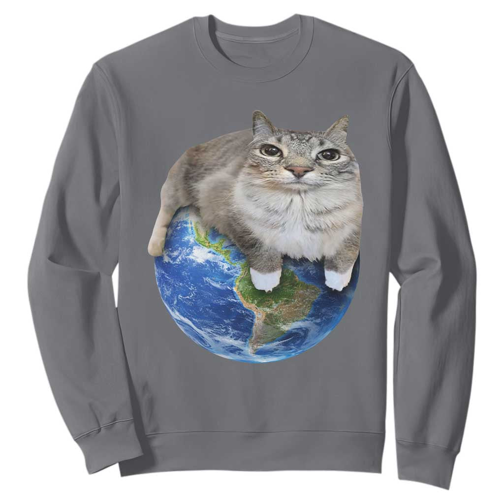 Earth Cat Silly Cat Meme Sweatshirt