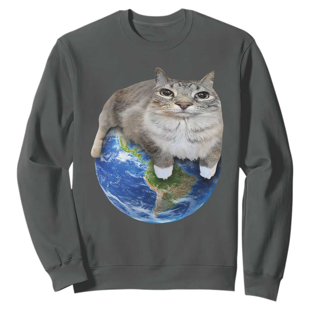Earth Cat Silly Cat Meme Sweatshirt