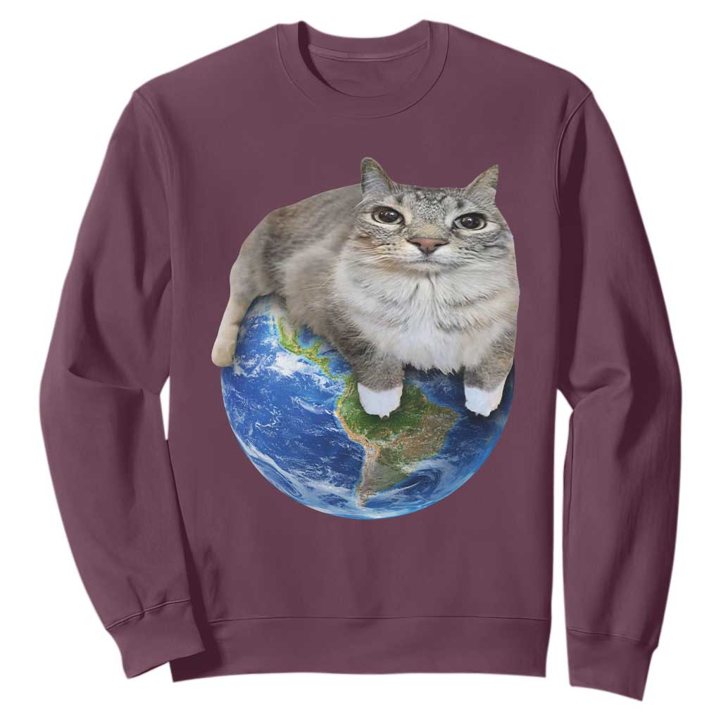 Earth Cat Silly Cat Meme Sweatshirt
