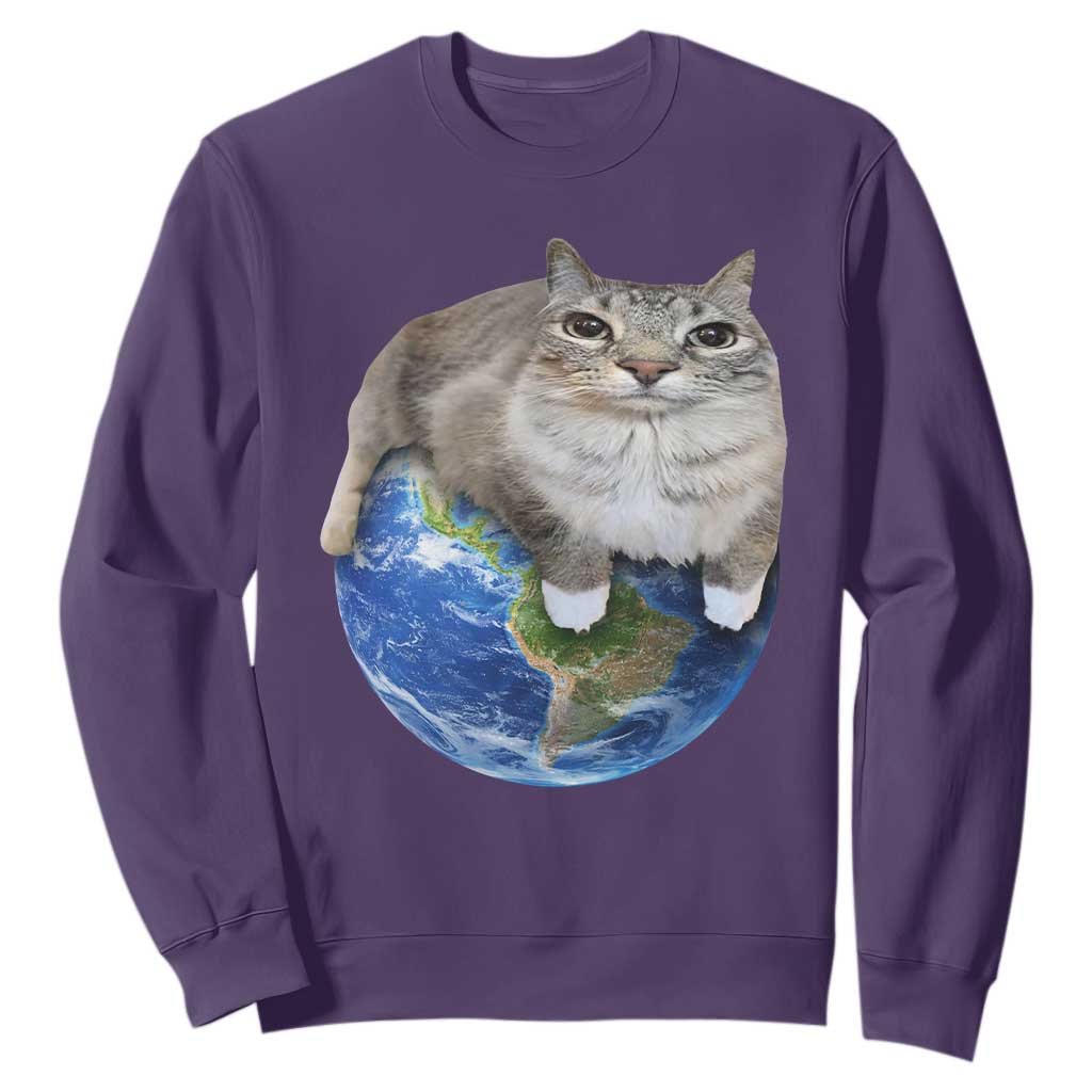 Earth Cat Silly Cat Meme Sweatshirt