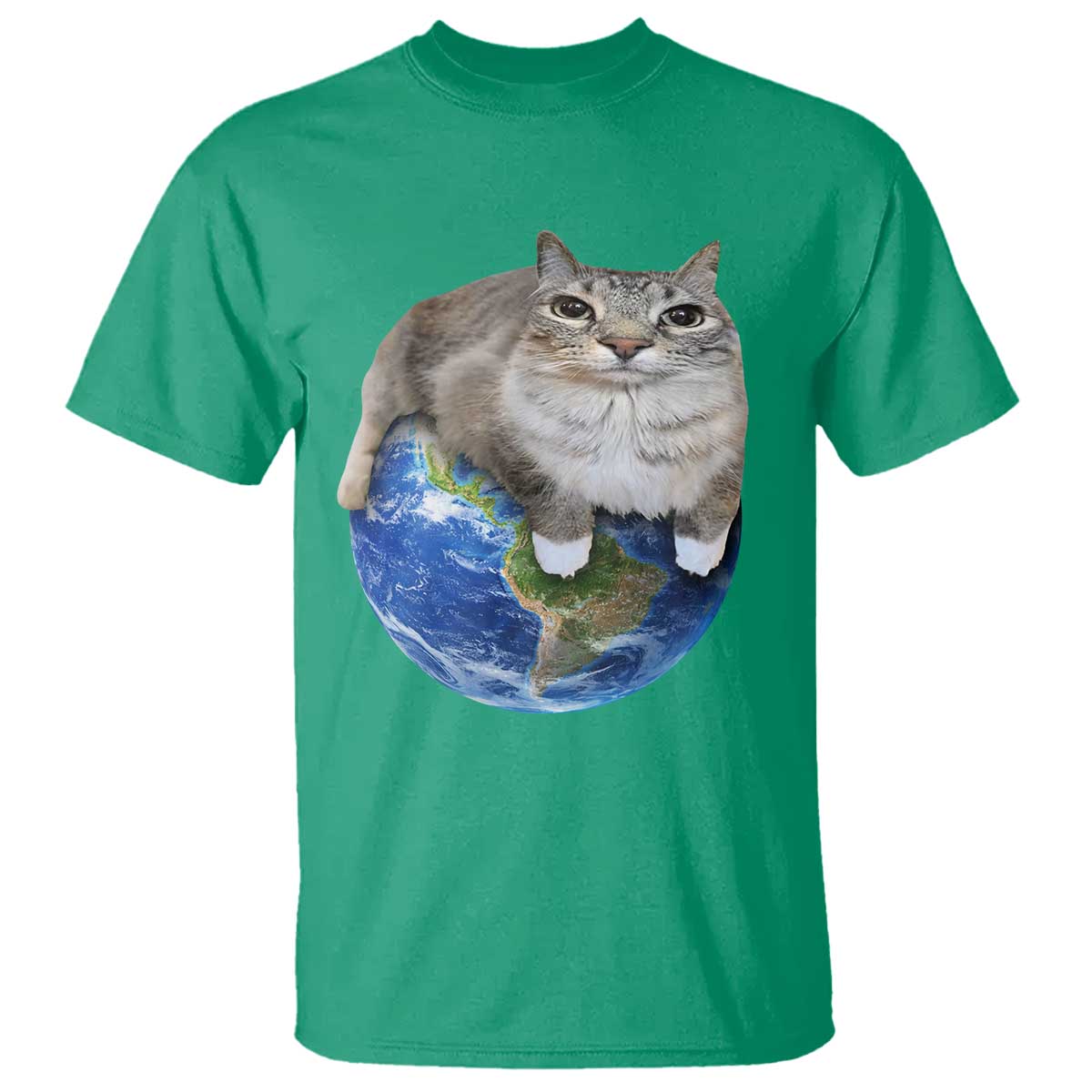 Earth Cat Silly Cat Meme T Shirt
