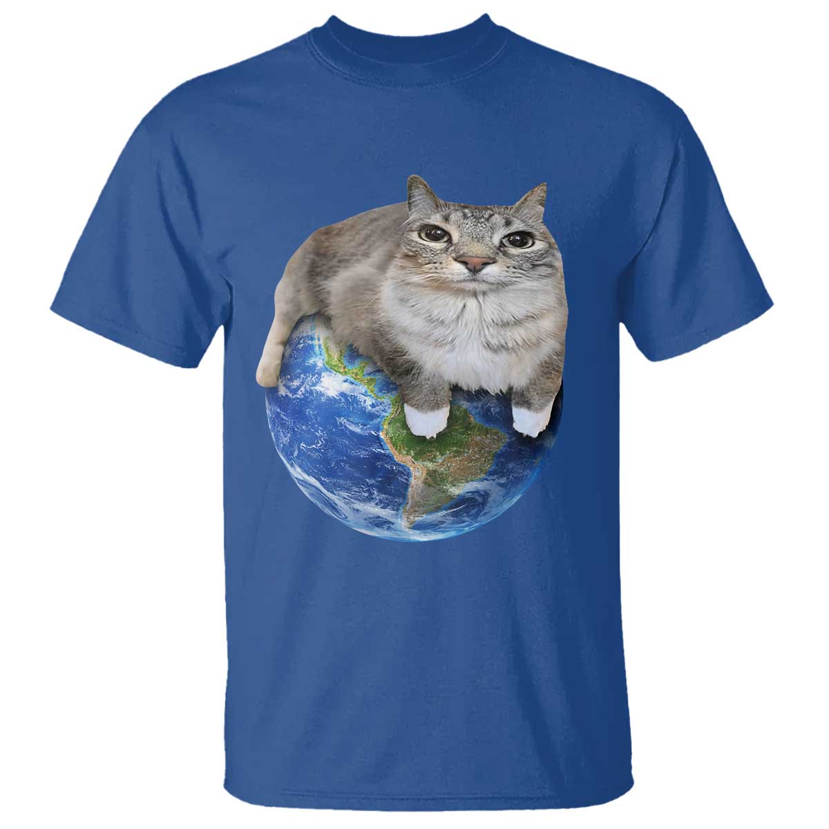 Earth Cat Silly Cat Meme T Shirt
