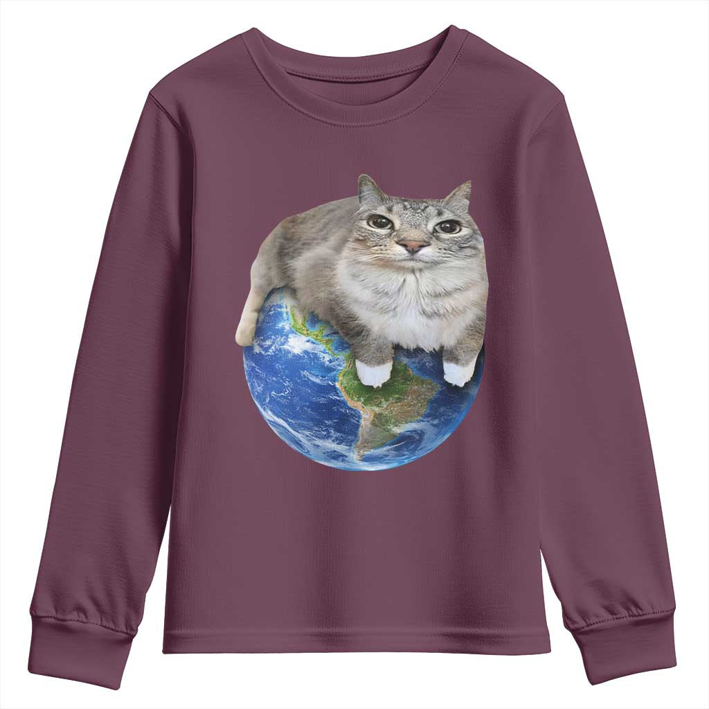 Earth Cat Silly Cat Meme Youth Sweatshirt