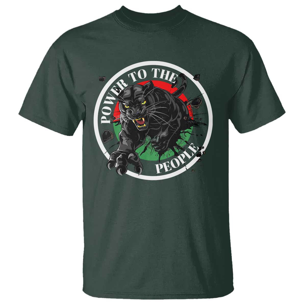 Power To The People Black Panther Party T Shirt Proud Black History Month