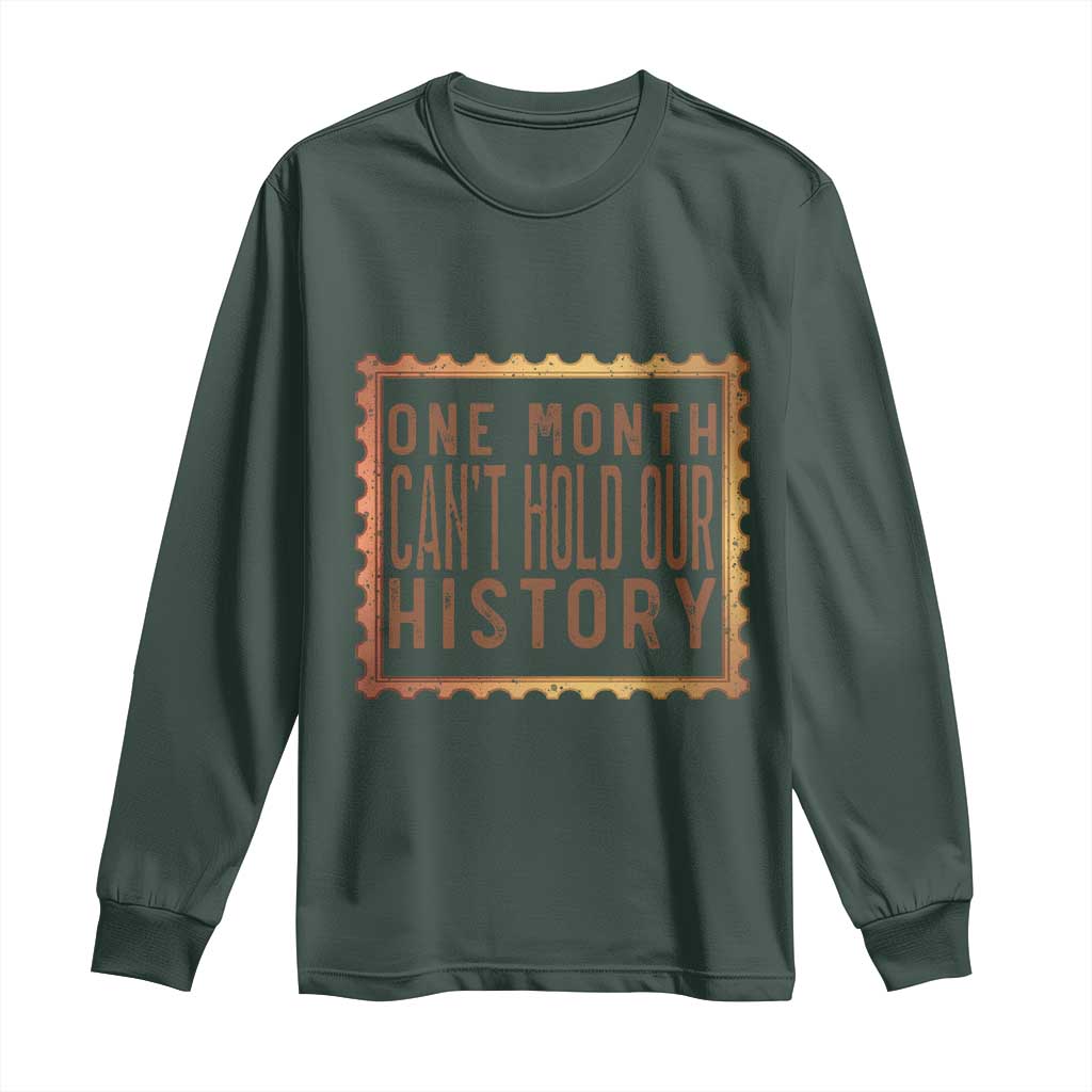 One Month Cannot Hold Our History Long Sleeve Shirt African American Gift