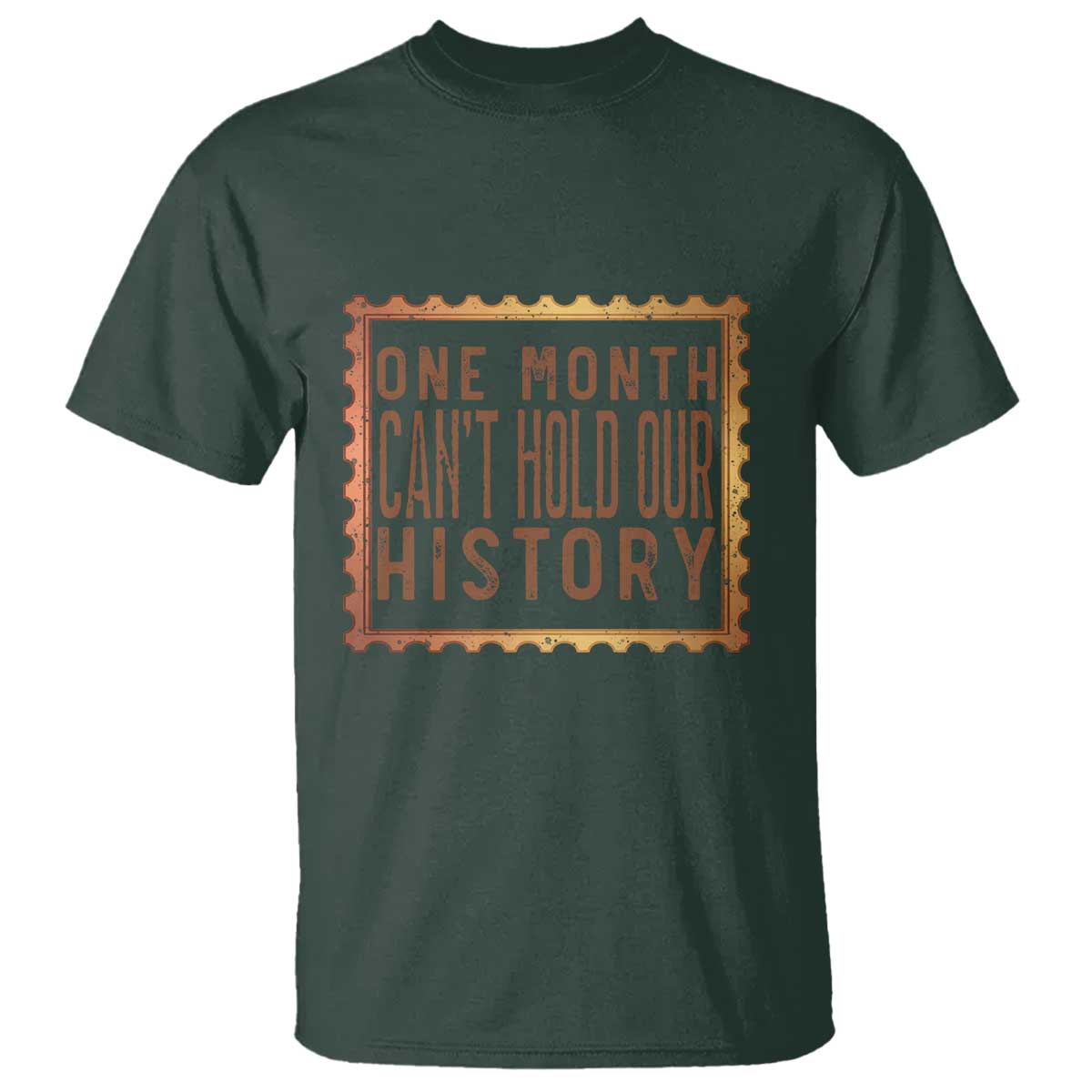 One Month Cannot Hold Our History T Shirt African American Gift
