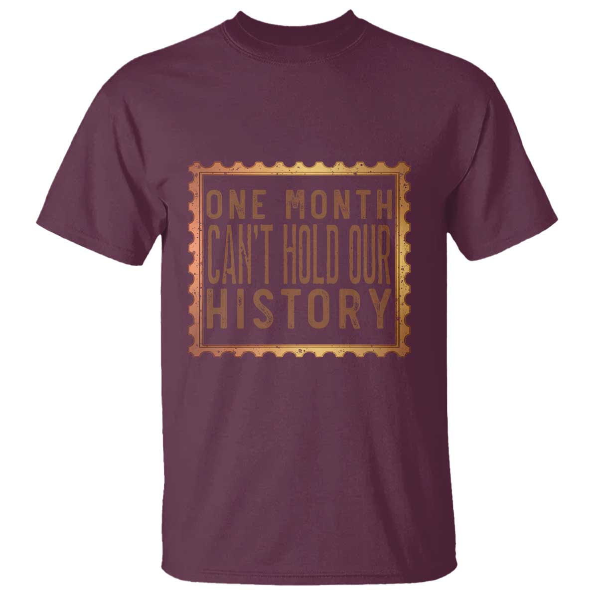 One Month Cannot Hold Our History T Shirt African American Gift